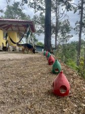 Casa con amplio terreno en Valle de Ángeles!