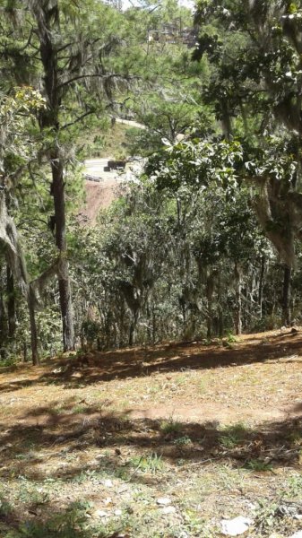 Terreno en Venta en  Santa Lucía, Francisco Morazán