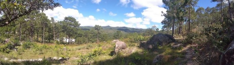 Finca en Venta en Güinope, El Paraiso, Honduras C.A. Tegucigalpa, El Paraíso