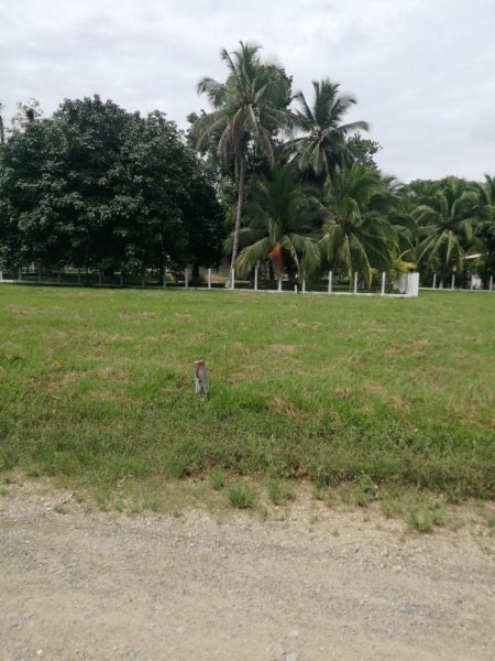 Terreno en Venta en  Puerto Cortés, Cortés